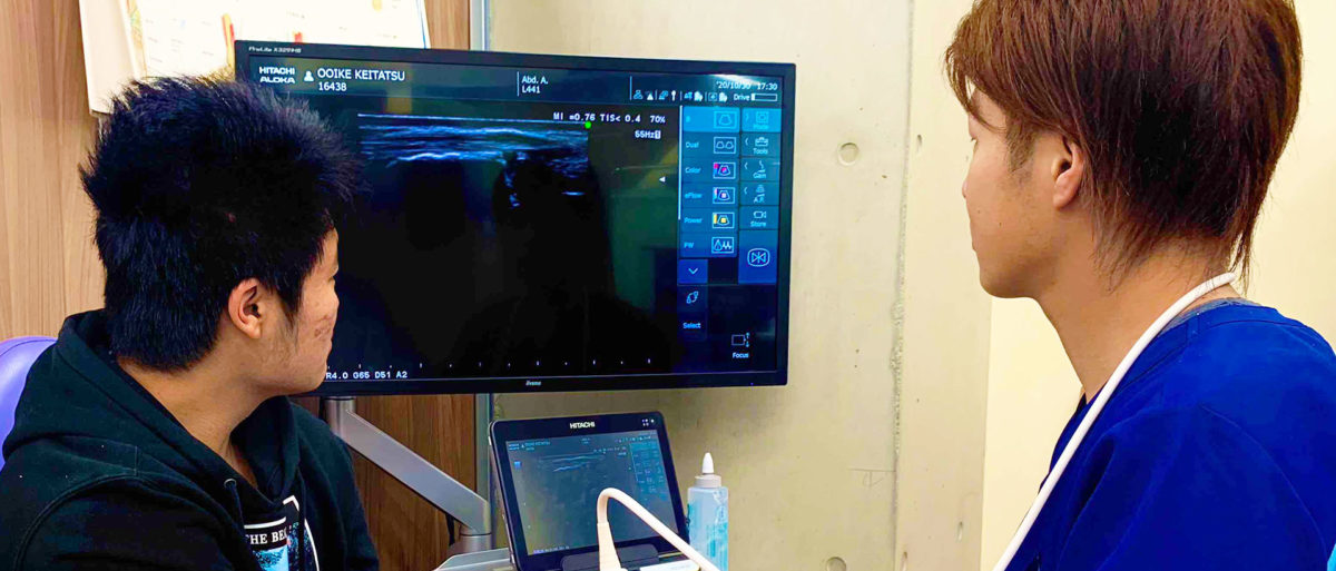 超音波画像観察